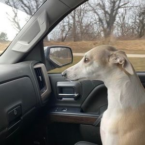 Meet your Posher, Stephen